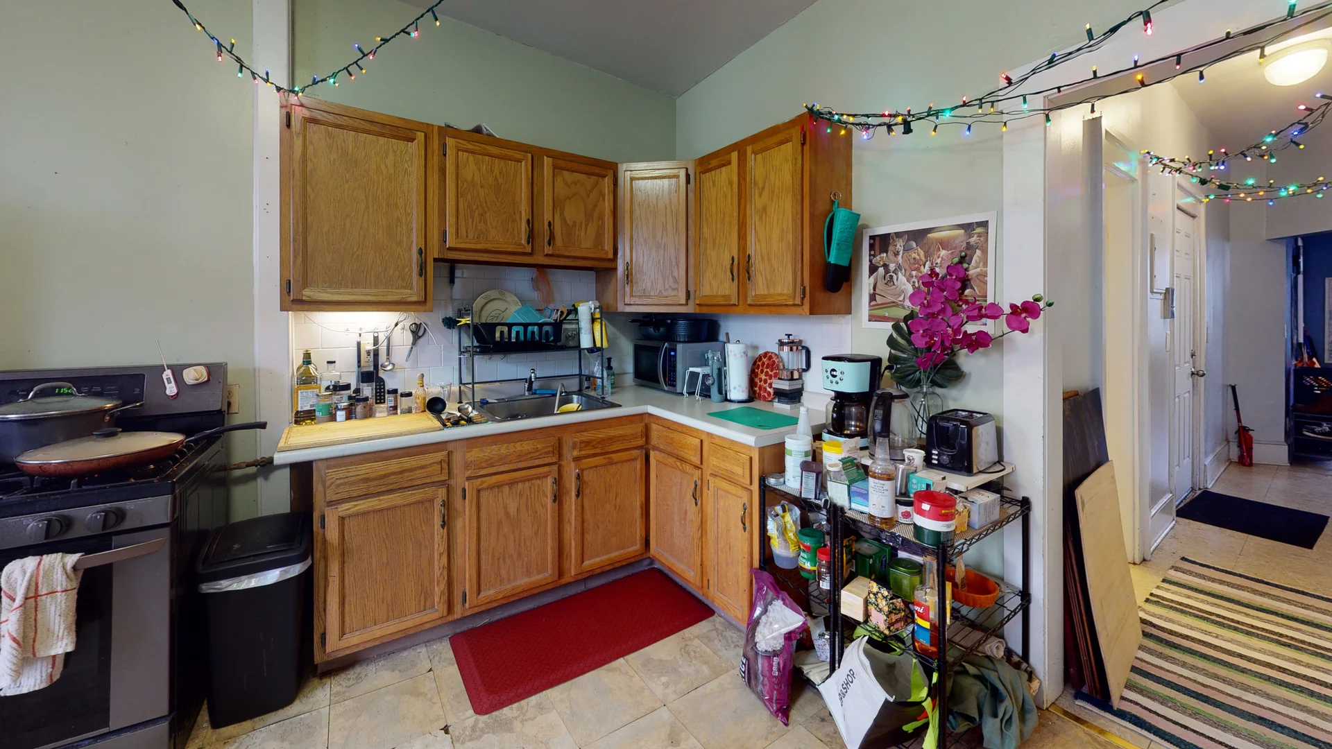 36 Mozart St. - Jamaica Plain