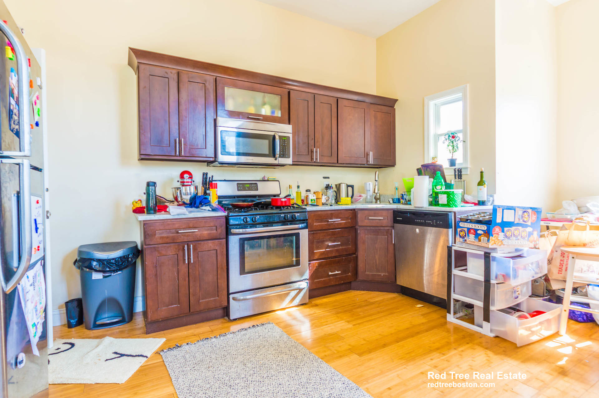 18 Cobden St. - Jamaica Plain